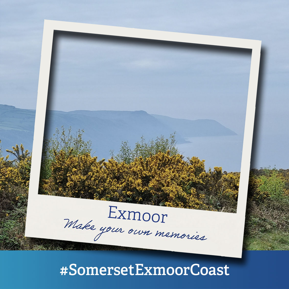 Exmoor - Somerset Coast Festival polaroid image